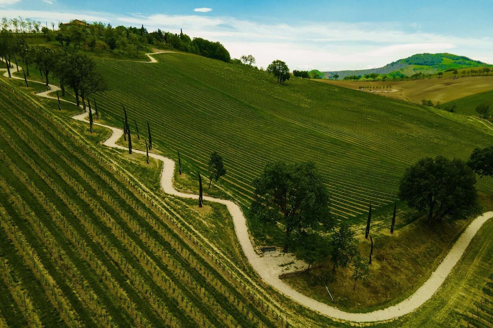 Photo of Outdoor in Varignana
