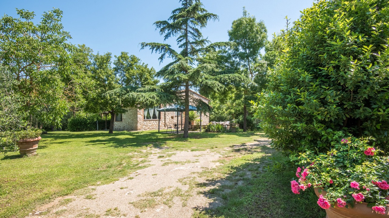 Photo of Outdoor in Campiglia