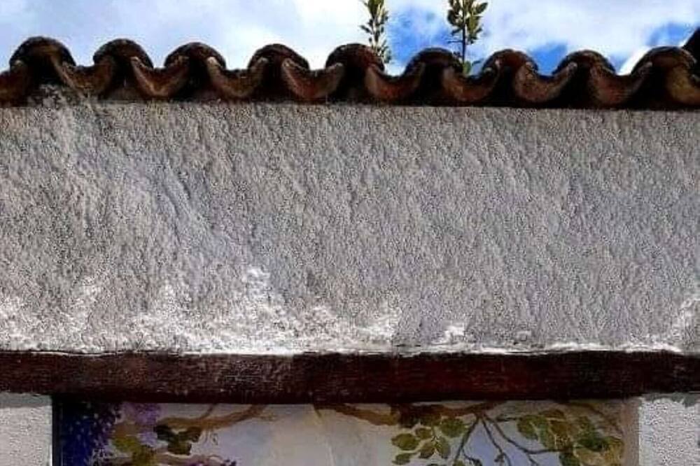Photo of Others in Savigno