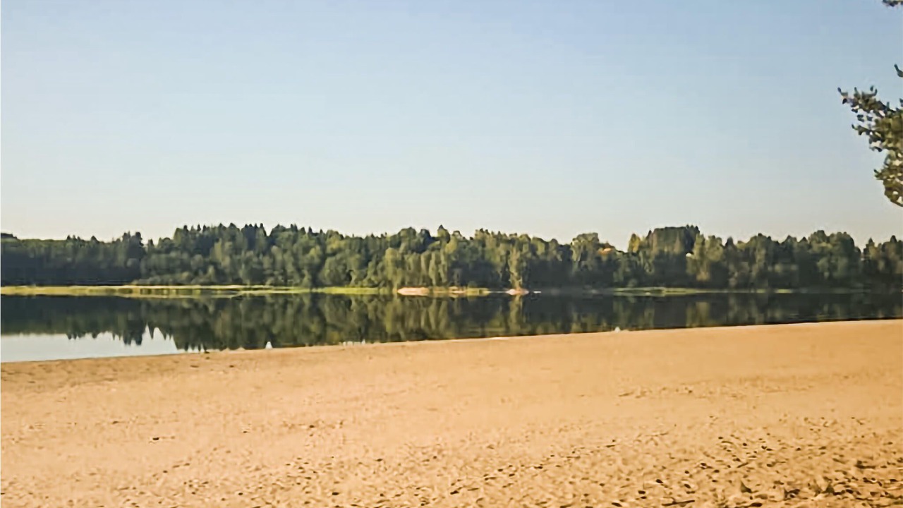 Photo of Others in Nes Municipality