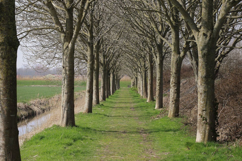 Photo of Others in Hensbroek