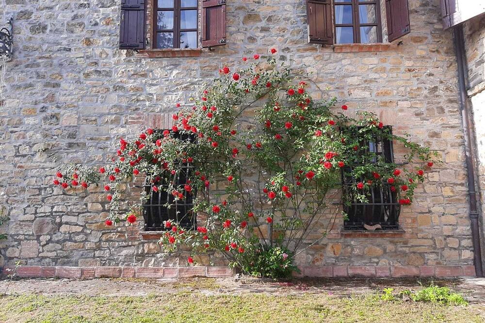 Photo of Outdoor in Gropparello