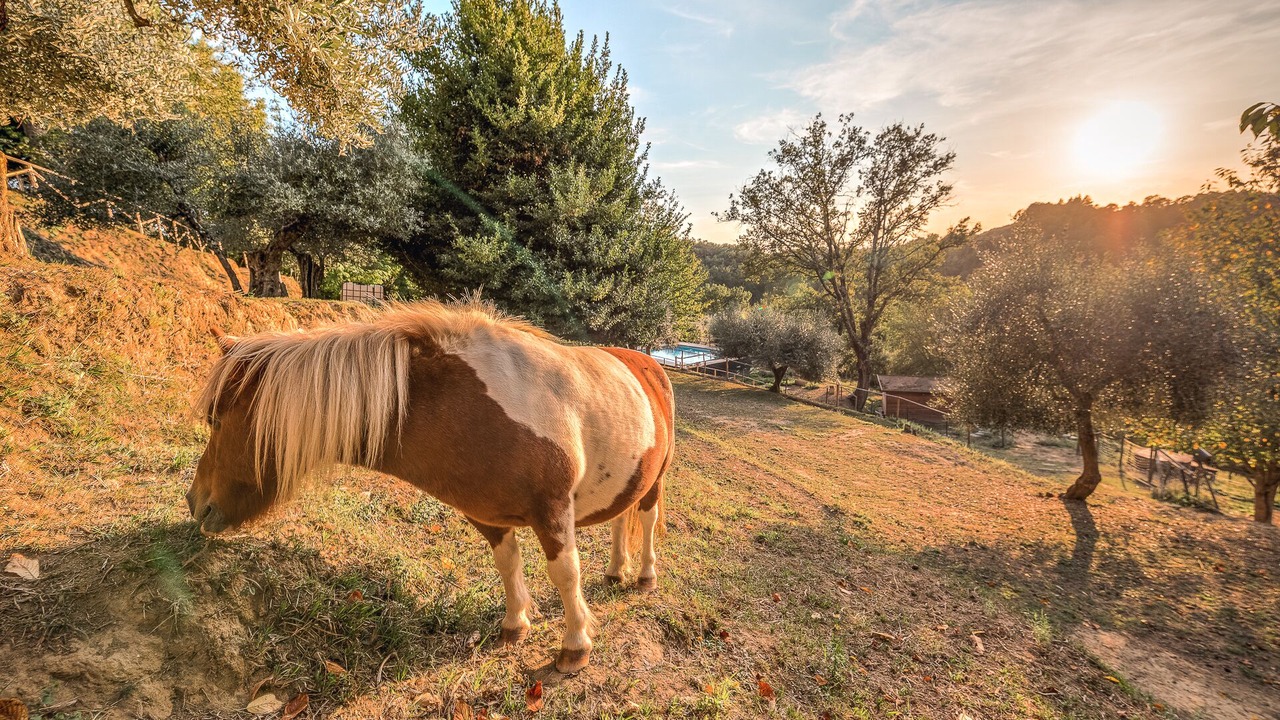 Photo of Outdoor in Montecastello