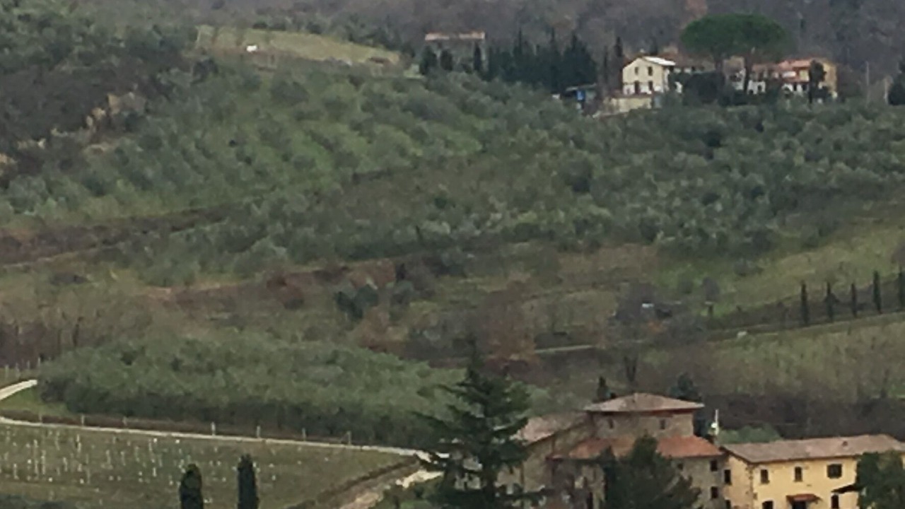 Photo of Outdoor in Vicchio
