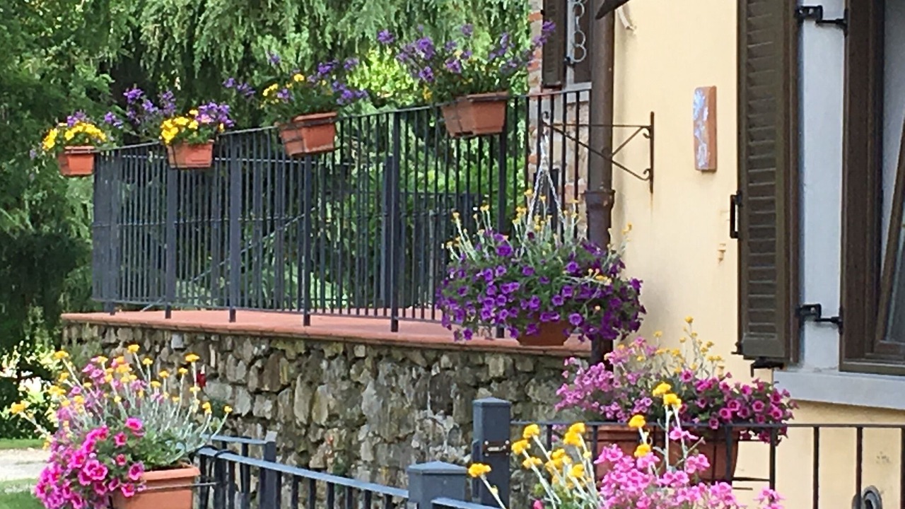 Photo of Outdoor in Vicchio