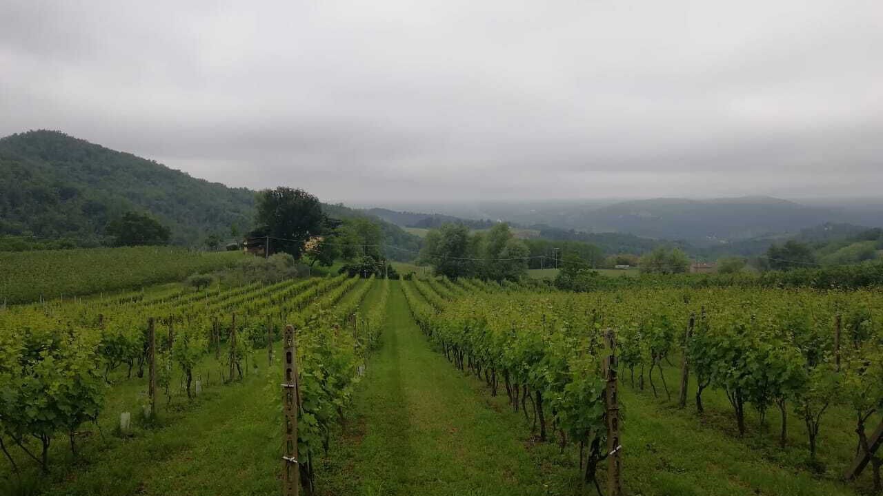 Photo of Outdoor in Vicchio