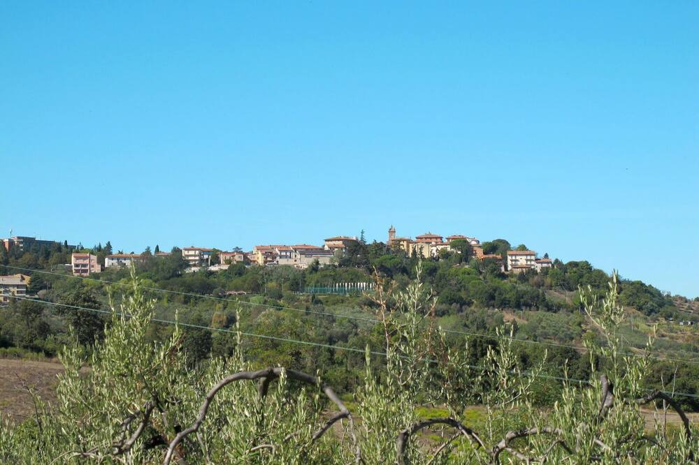 Photo of Outdoor in Sughera