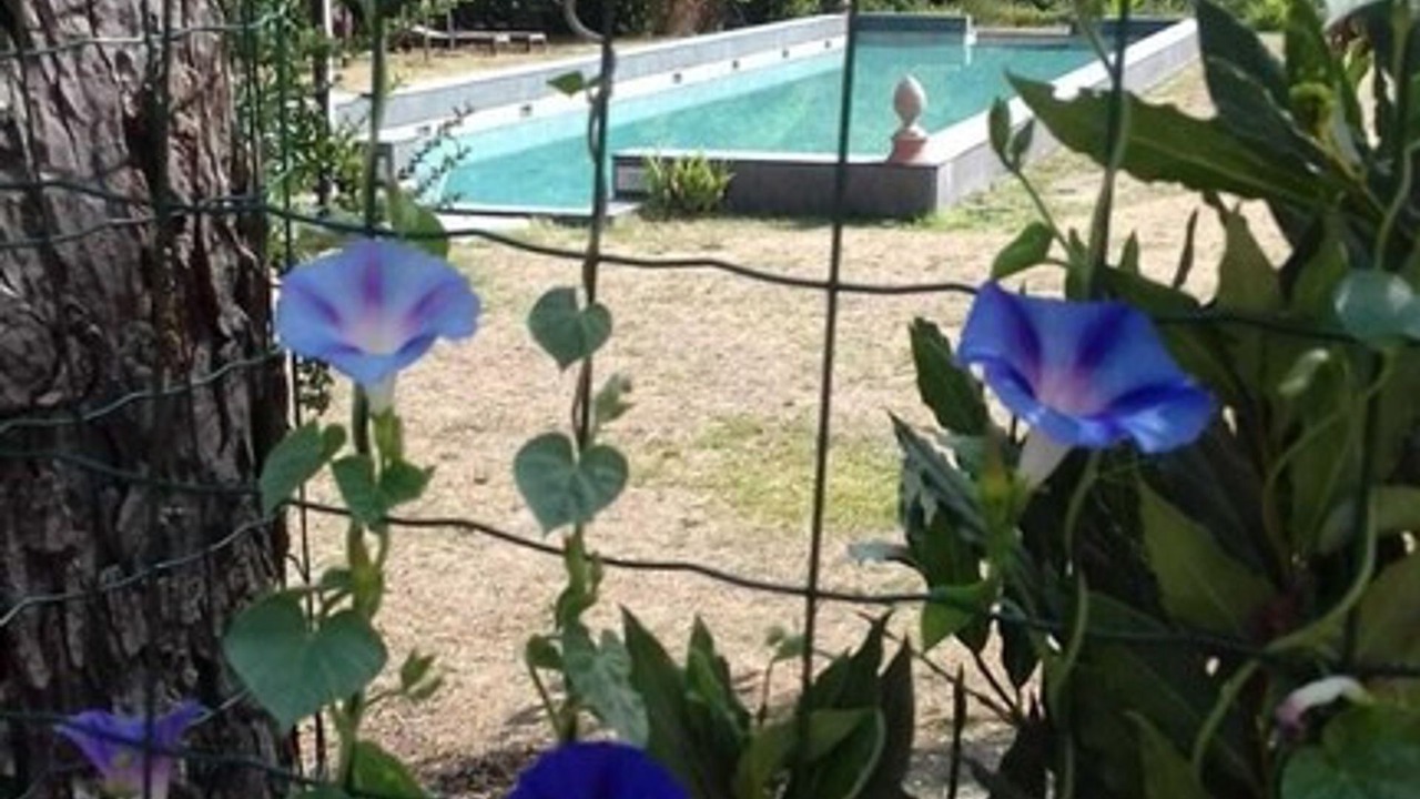 Photo of Outdoor in Vicchio