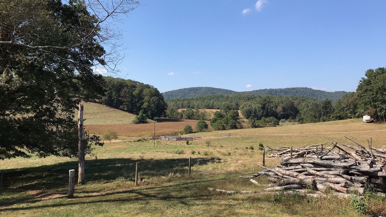 Photo of Outdoor in Boomer