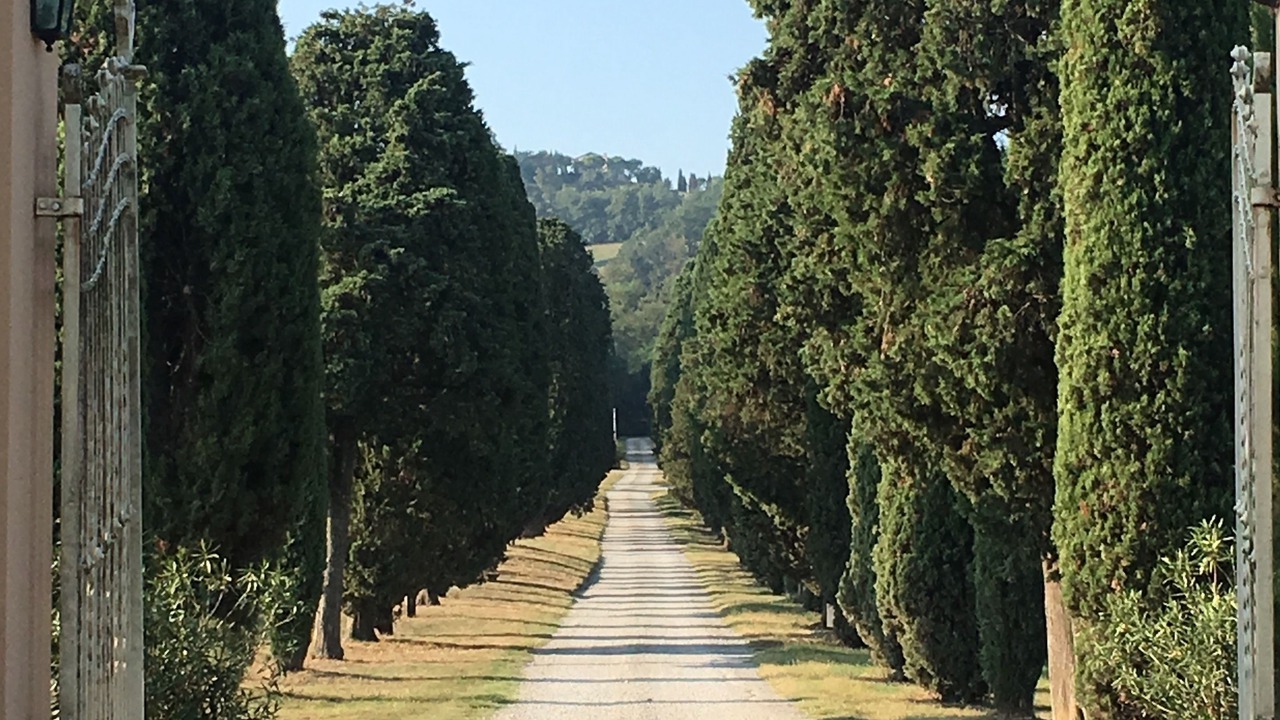 Photo of Outdoor in Quattro Castella