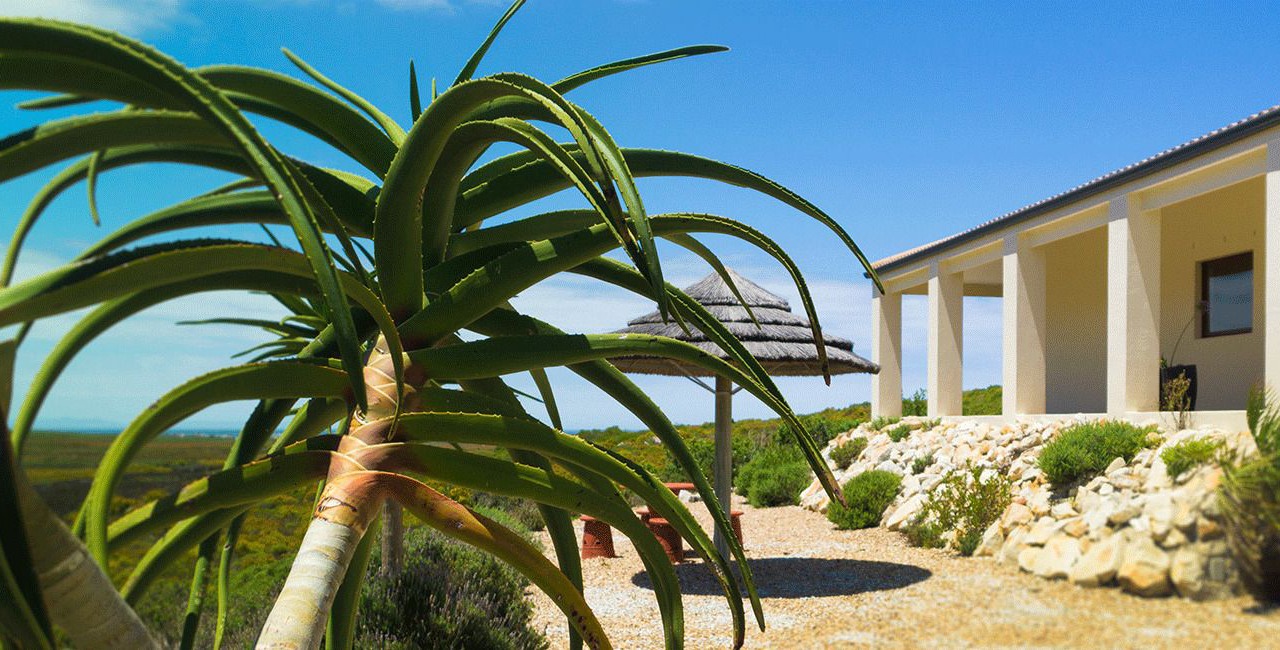 Photo of Outdoor in Pringle Bay