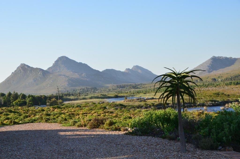 Photo of Others in Pringle Bay