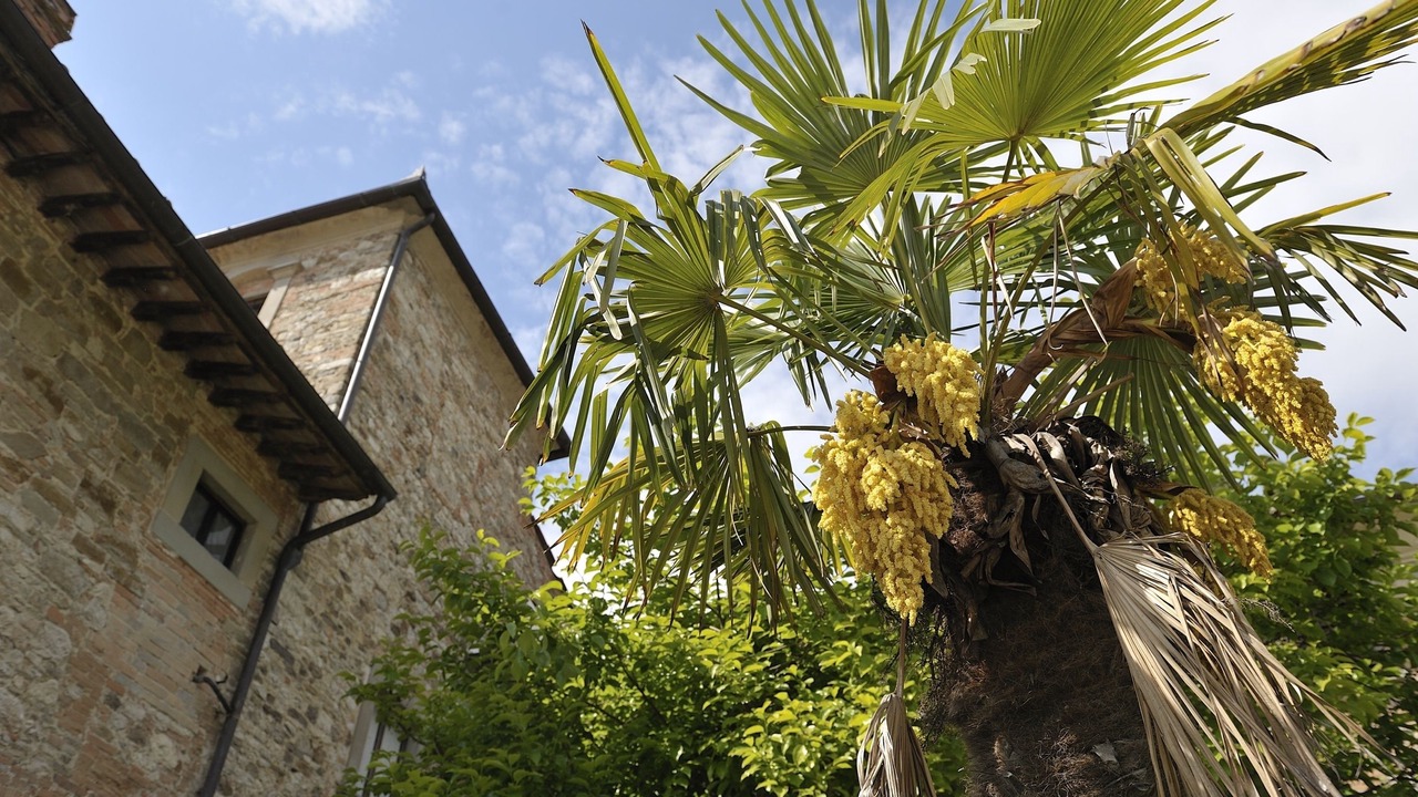 Photo of Outdoor in Scarperia