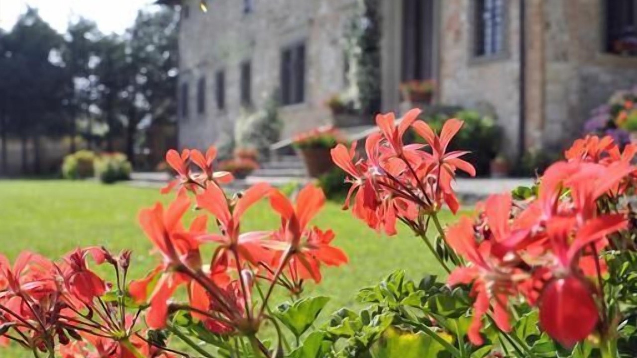 Photo of Outdoor in Scarperia