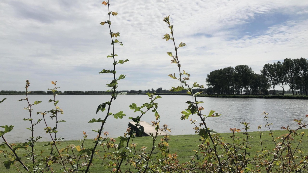 Photo of Outdoor in Zijdewind
