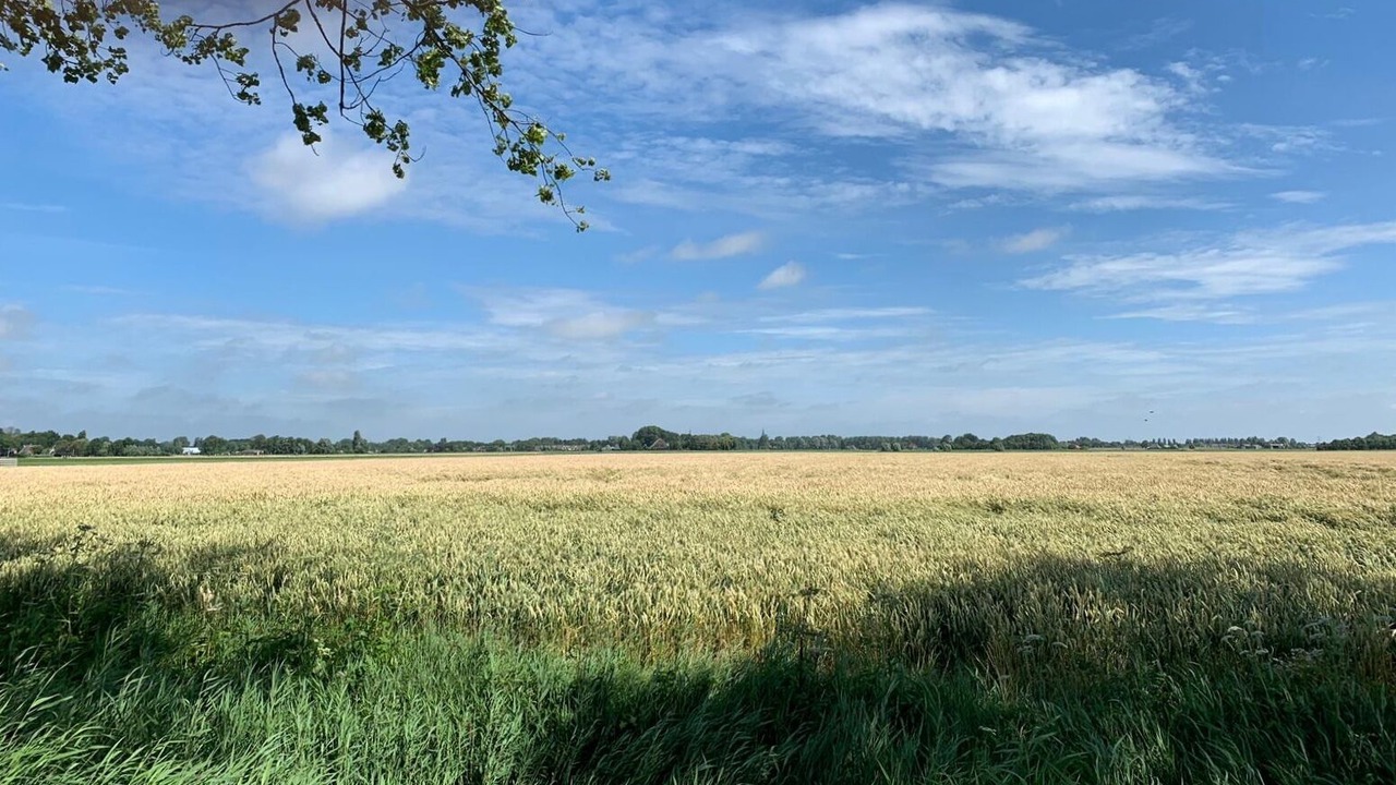 Photo of Outdoor in Zijdewind