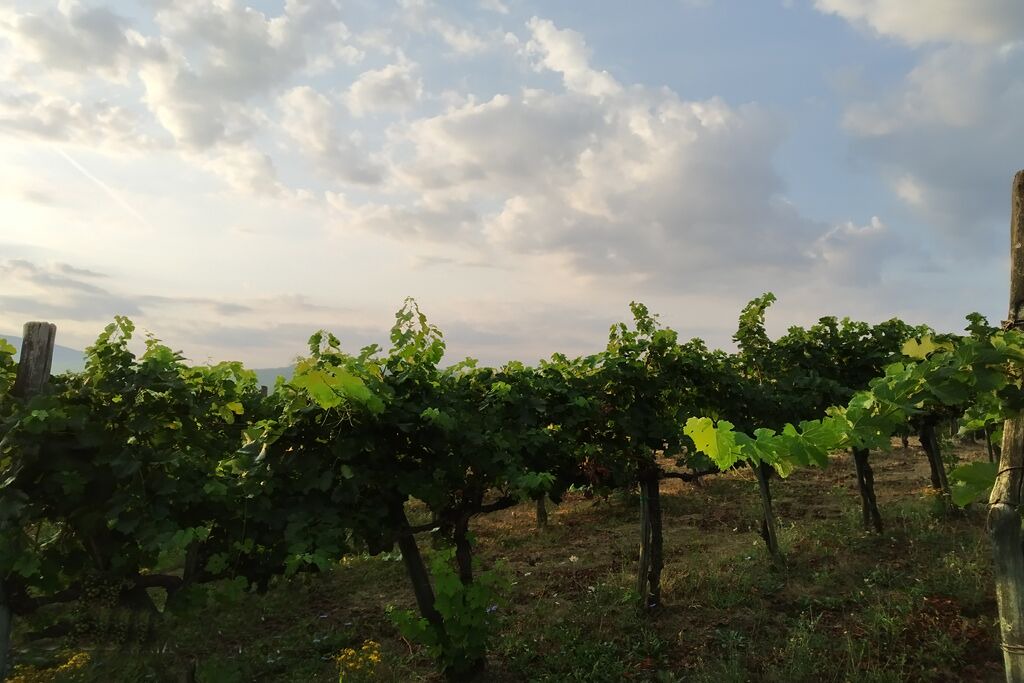 Photo of Outdoor in Castel Focognano
