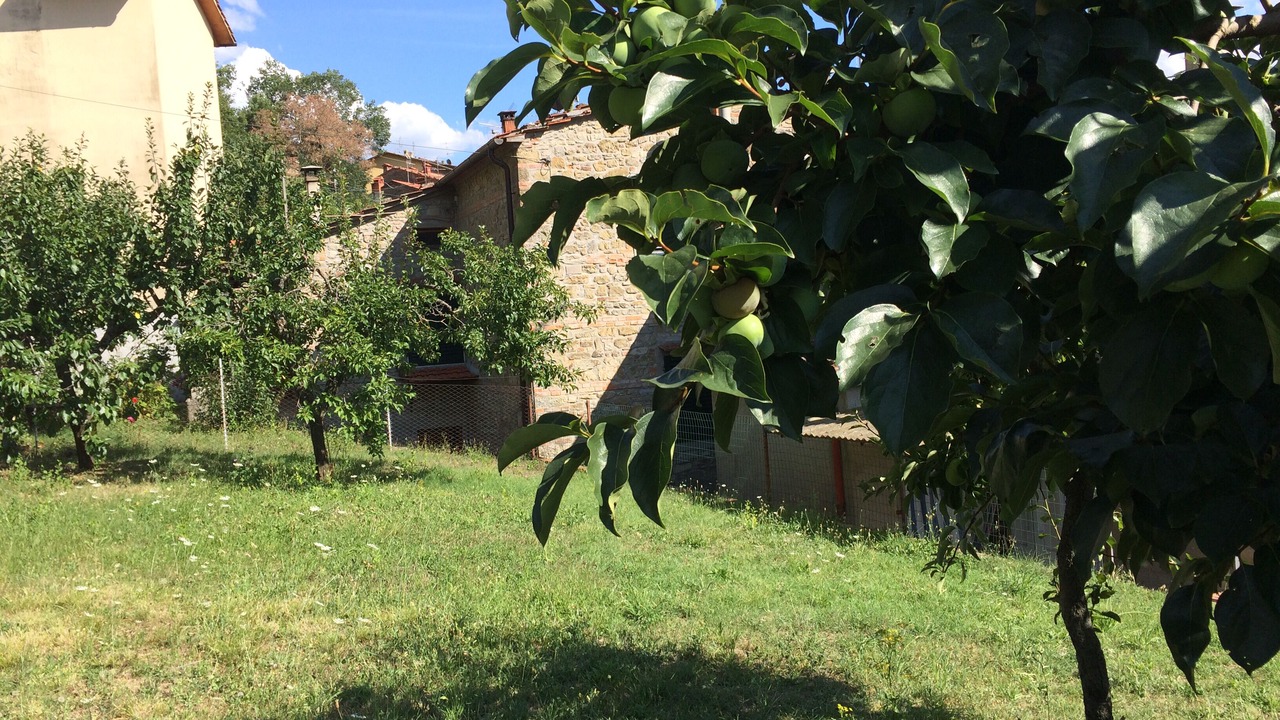 Photo of Outdoor in Stia