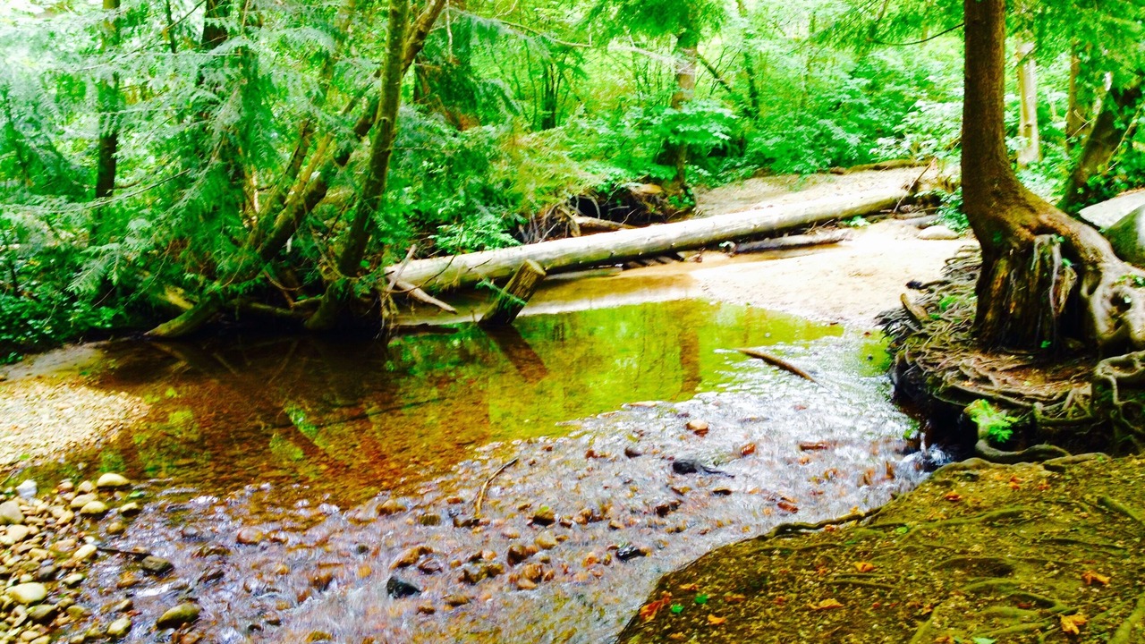 Photo of Outdoor in Pemberton Heights