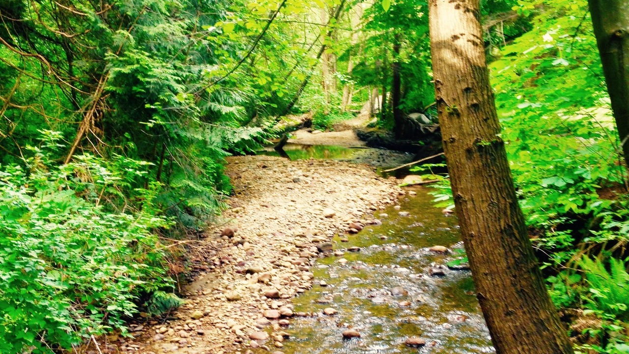 Photo of Outdoor in Pemberton Heights