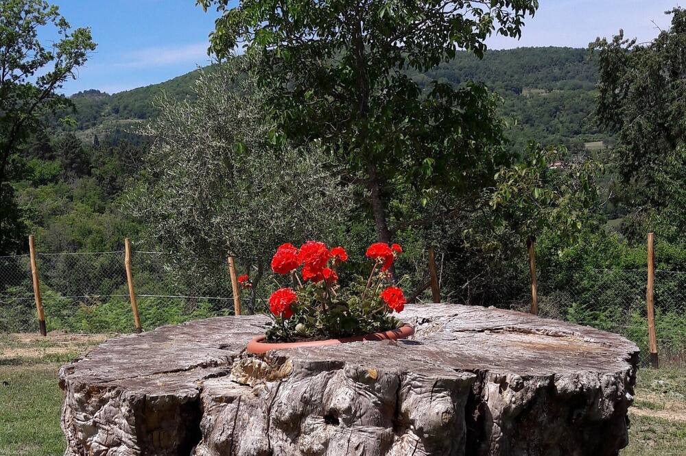 Photo of Outdoor in Porrena