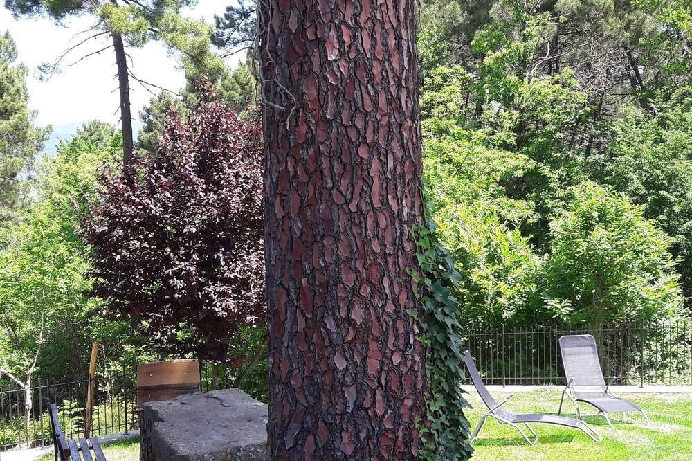 Photo of Outdoor in Porrena