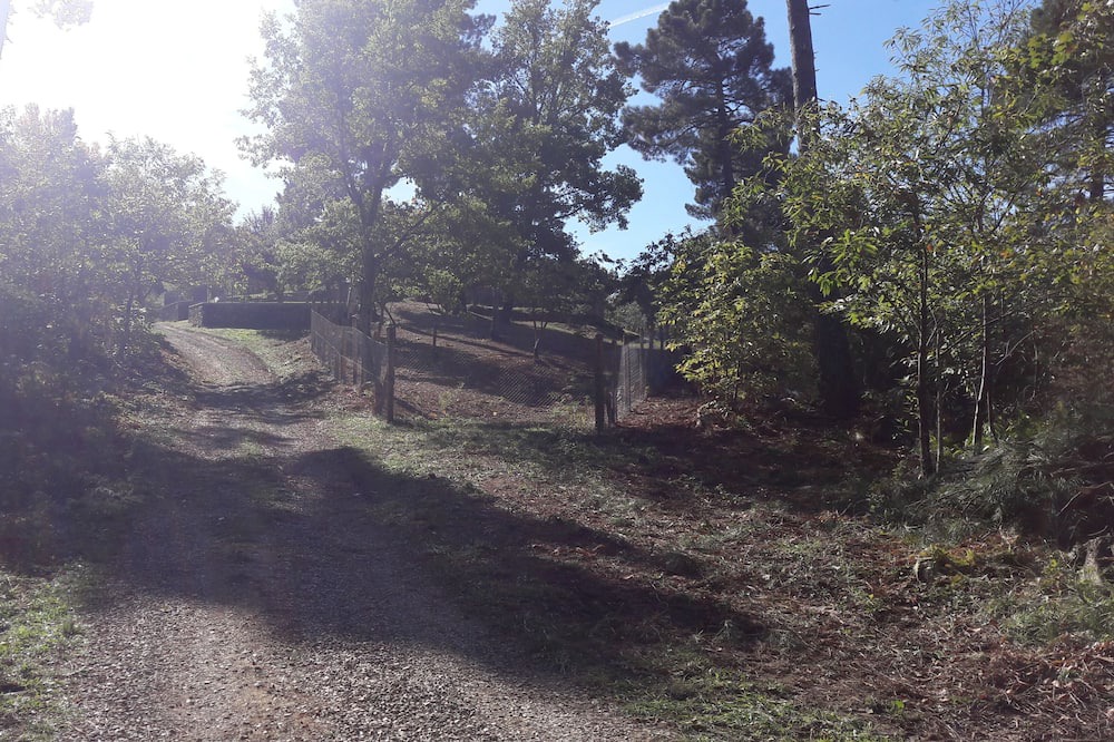 Photo of Outdoor in Porrena