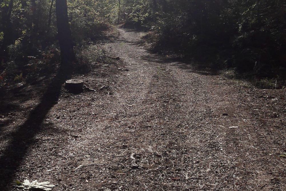 Photo of Outdoor in Porrena