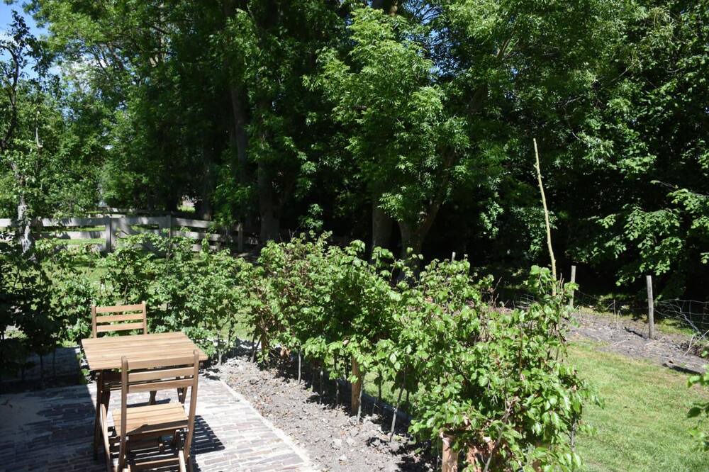Photo of Outdoor in Twisk