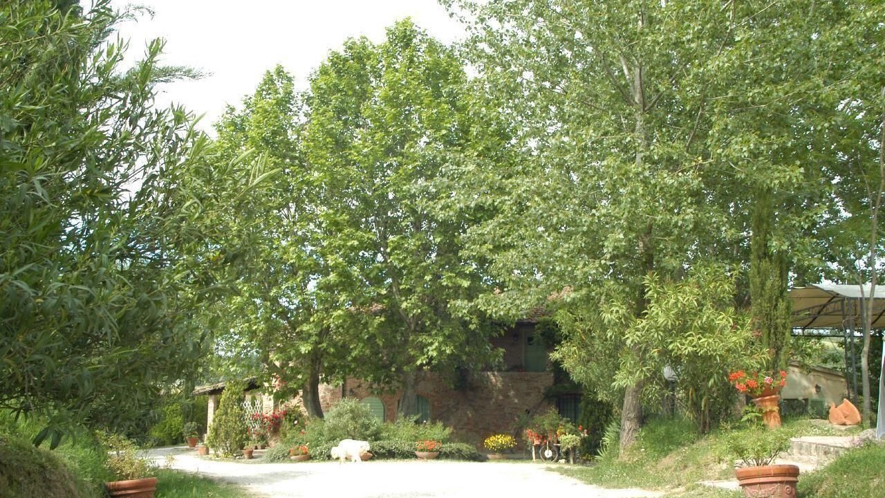 Photo of Outdoor in Capannoli
