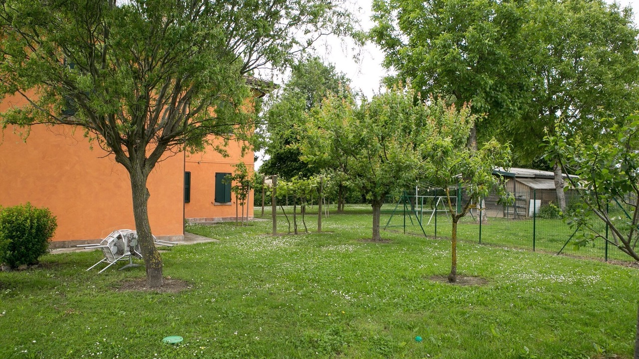 Photo of Others in Correggio