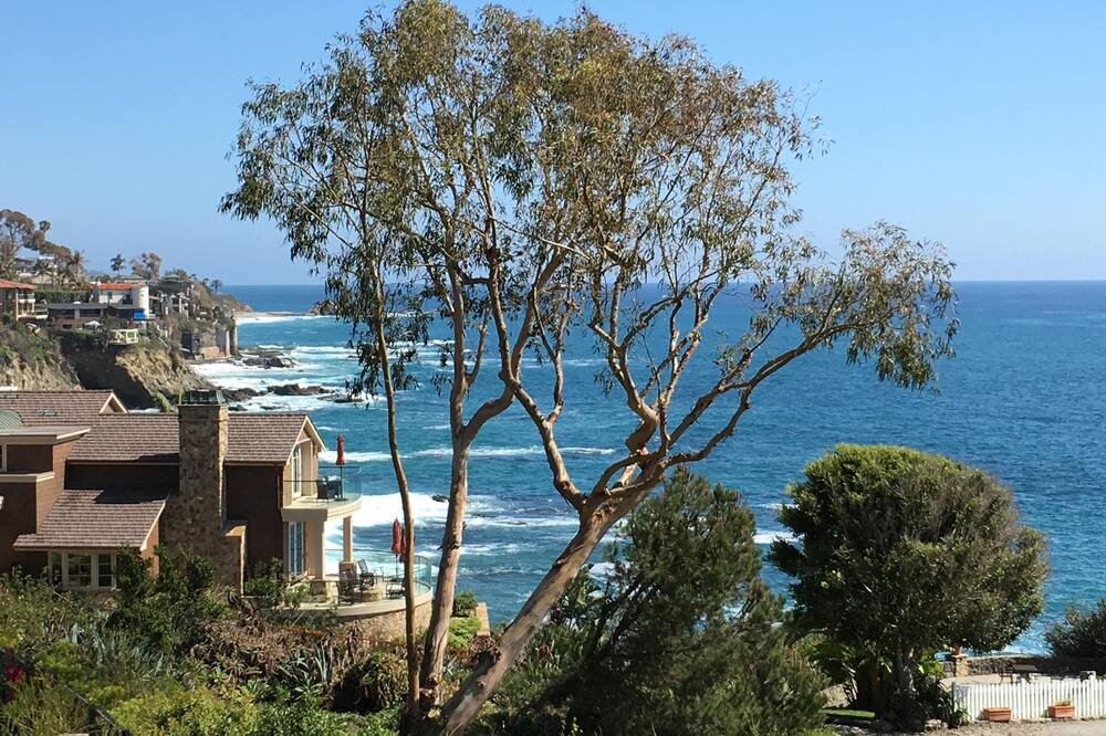 Photo of Others in Laguna Beach