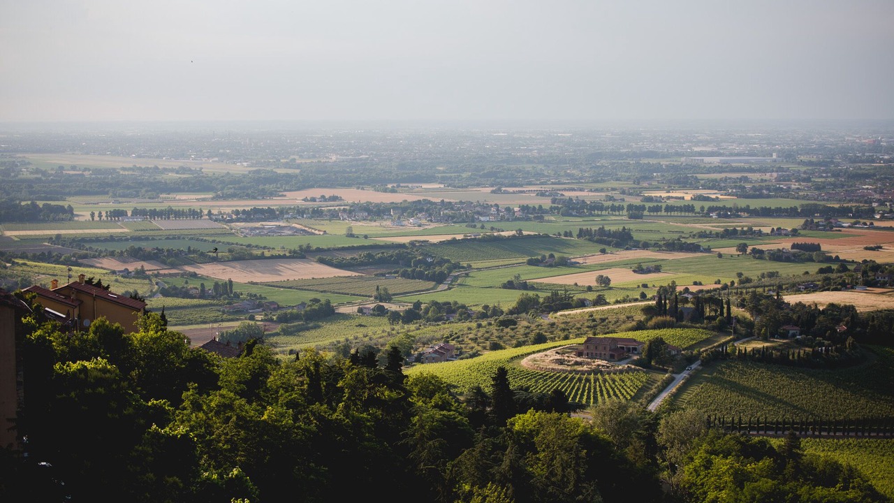 Photo of Bedroom in Bertinoro