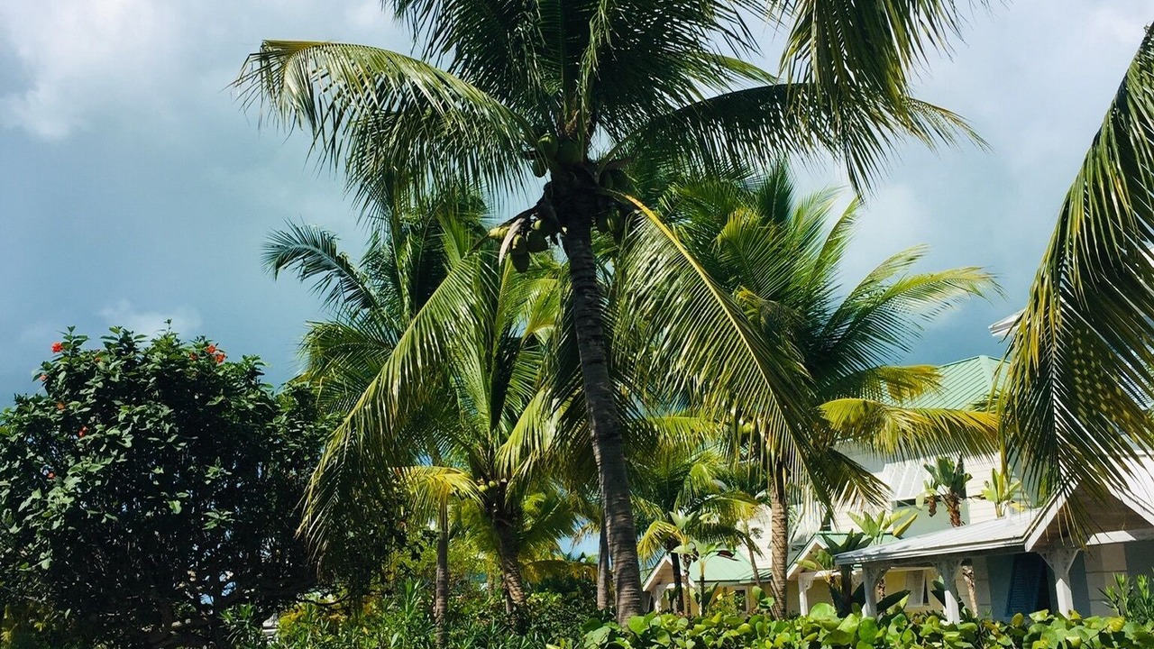 Photo of Outdoor in Great Exuma