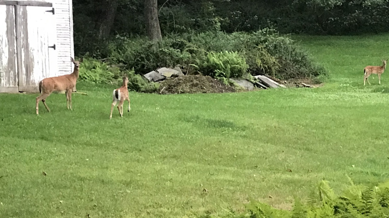 Photo of Others in White Mills