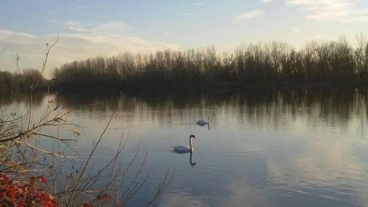 Photo of Outdoor in San Nazzaro