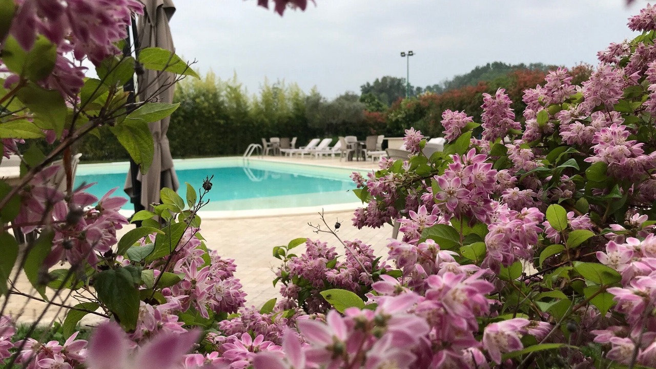 Photo of Outdoor in Castel Maggiore