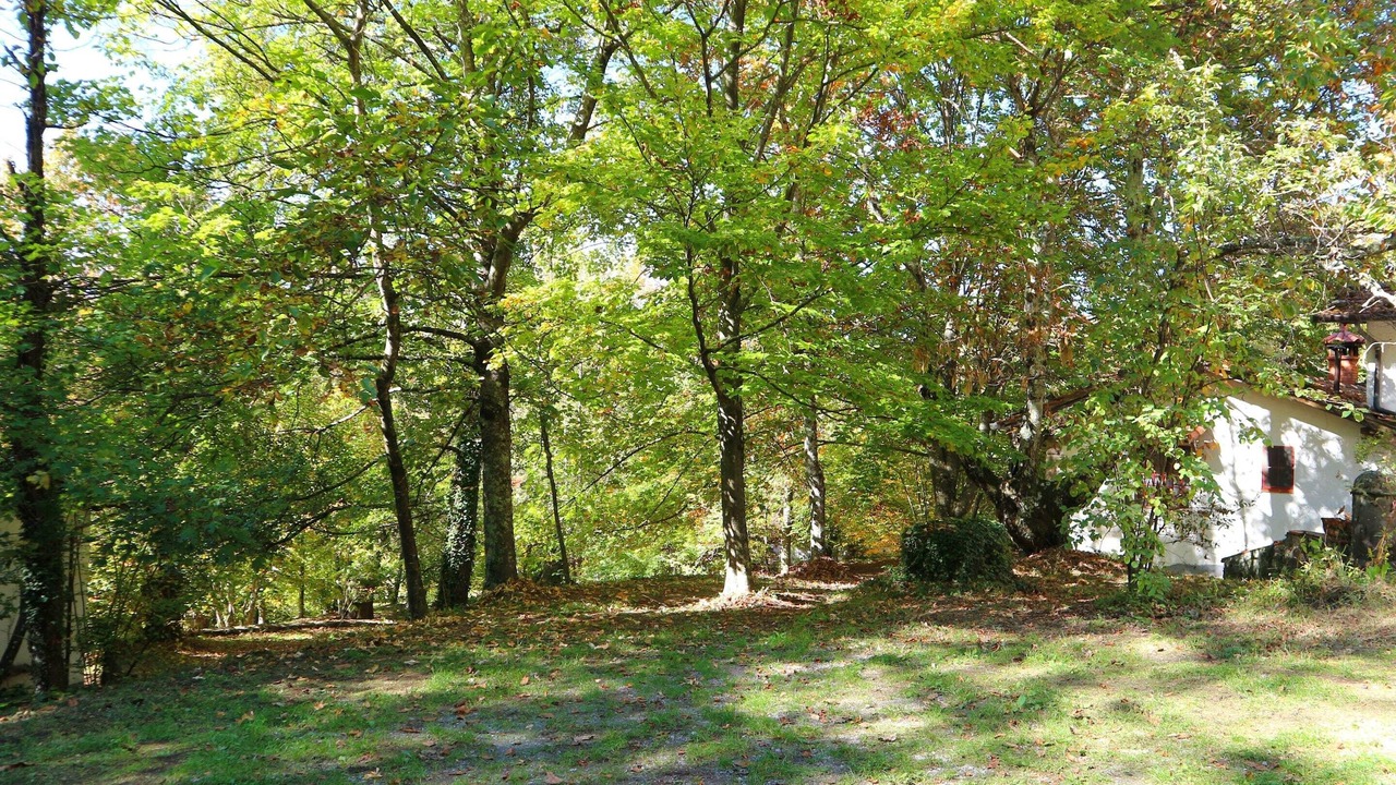 Photo of Others in San Marcello Piteglio