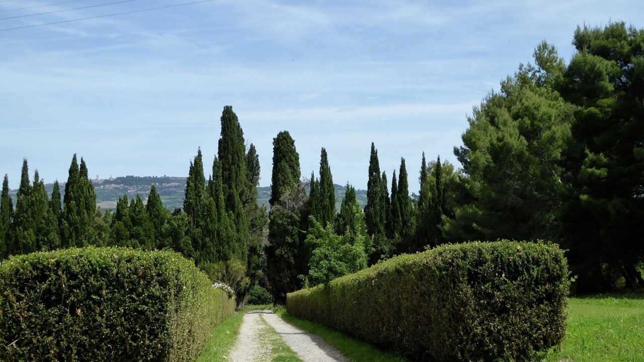 Photo of Outdoor in Saline di Volterra