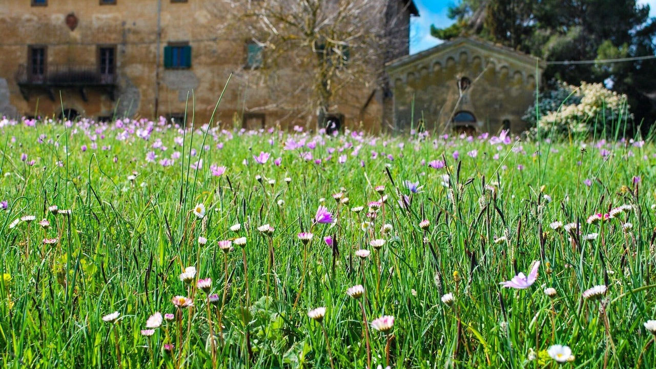 Photo of Outdoor in Saline di Volterra