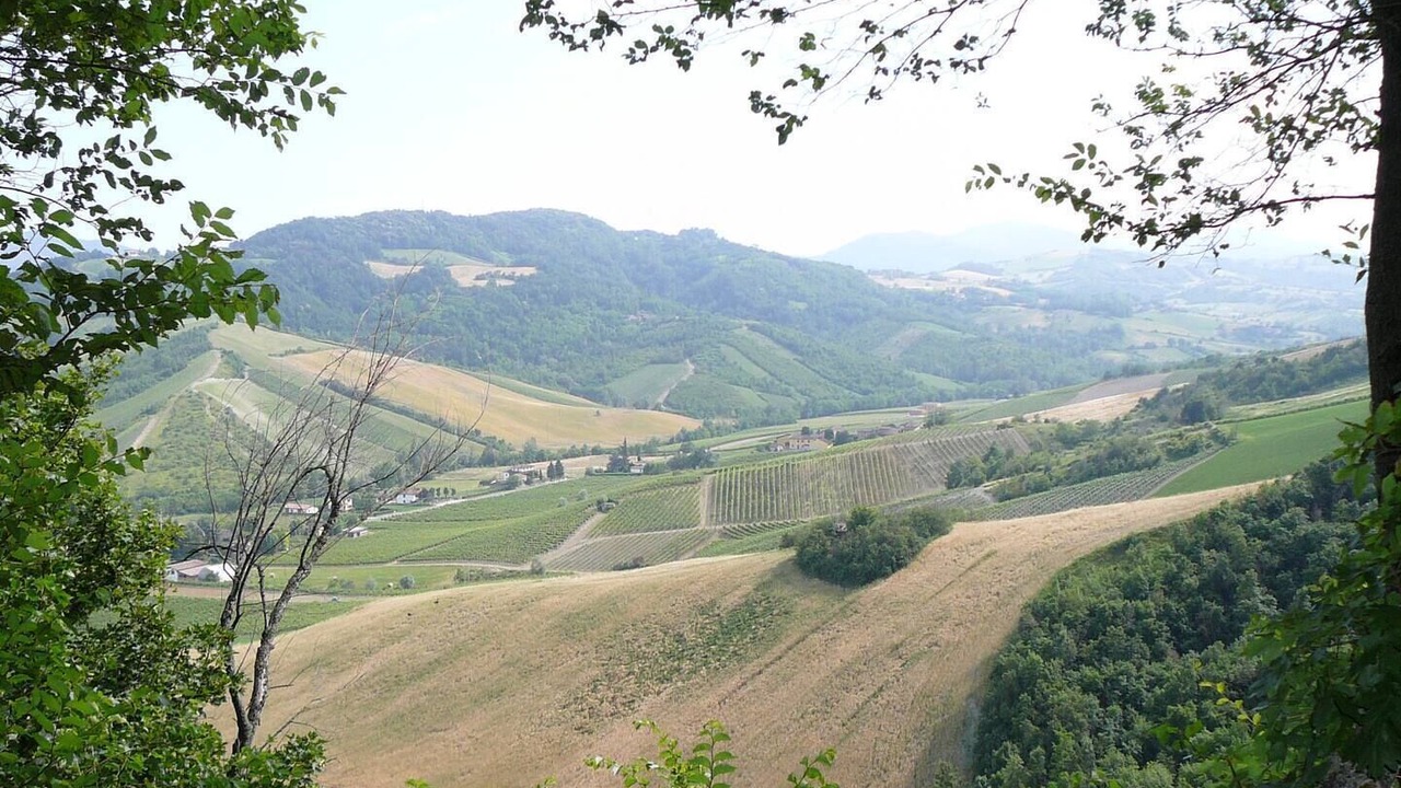 Photo of Outdoor in Castell'Arquato