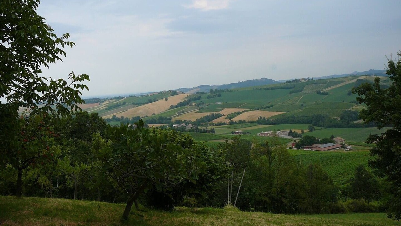 Photo of Outdoor in Castell'Arquato