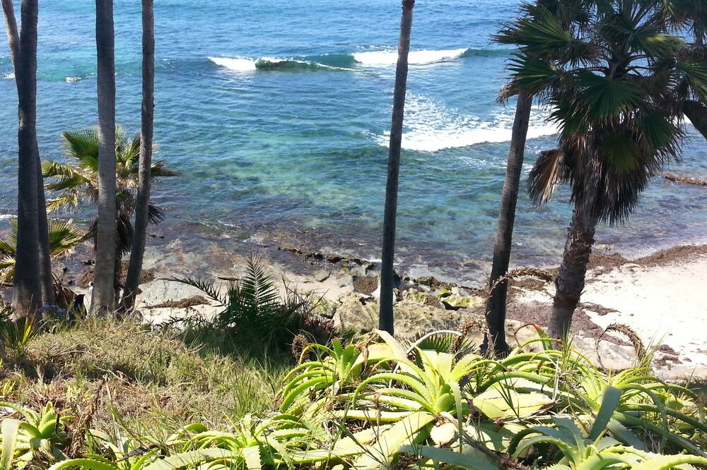 Photo of Others in Laguna Beach