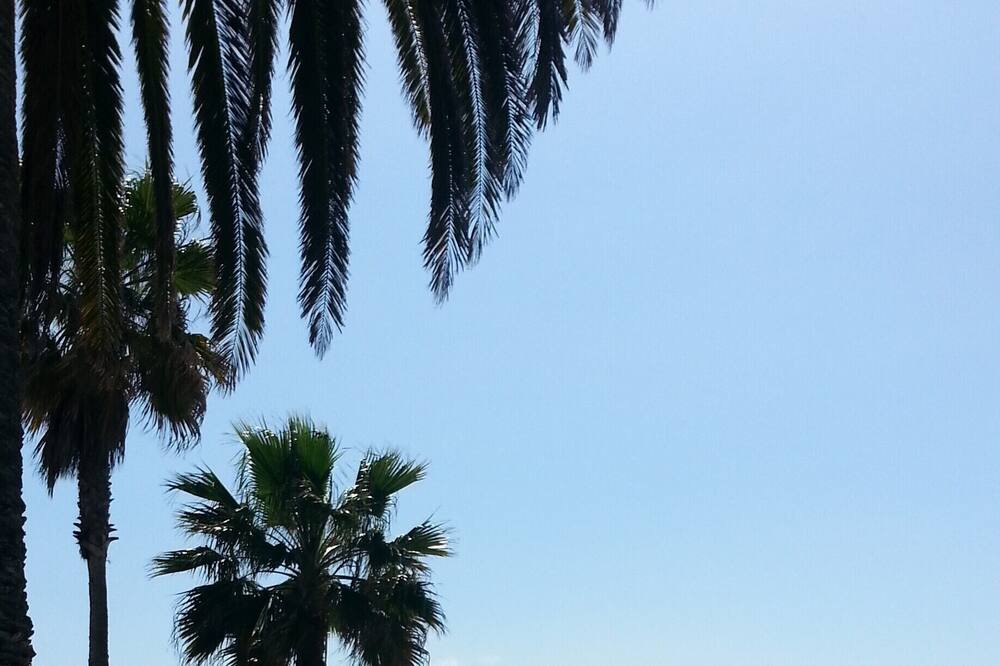 Photo of Others in Laguna Beach