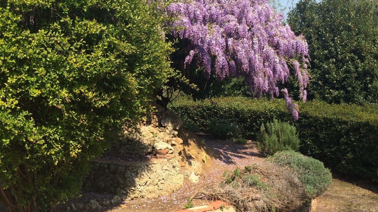 Photo of Outdoor in Tripalle