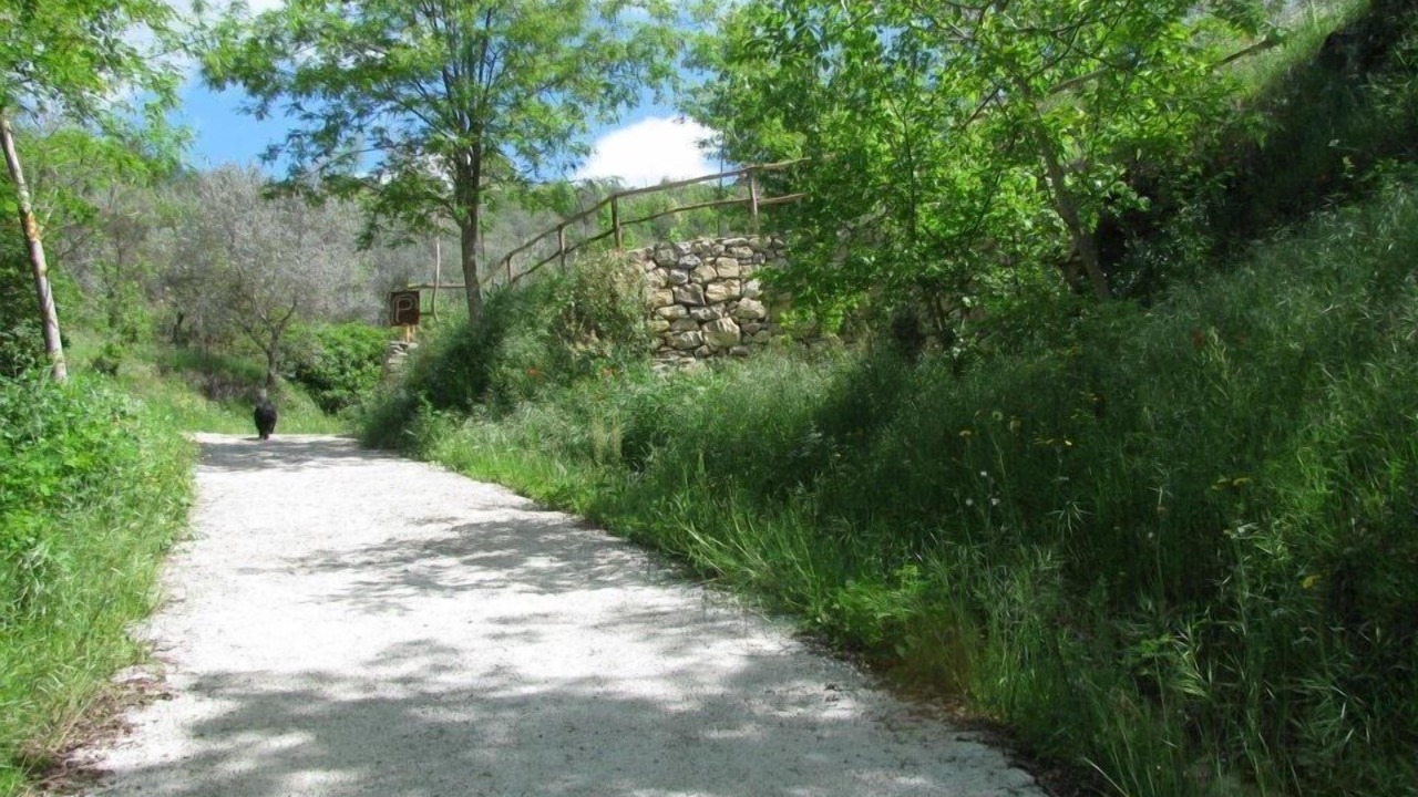 Photo of Outdoor in Pian di Sco