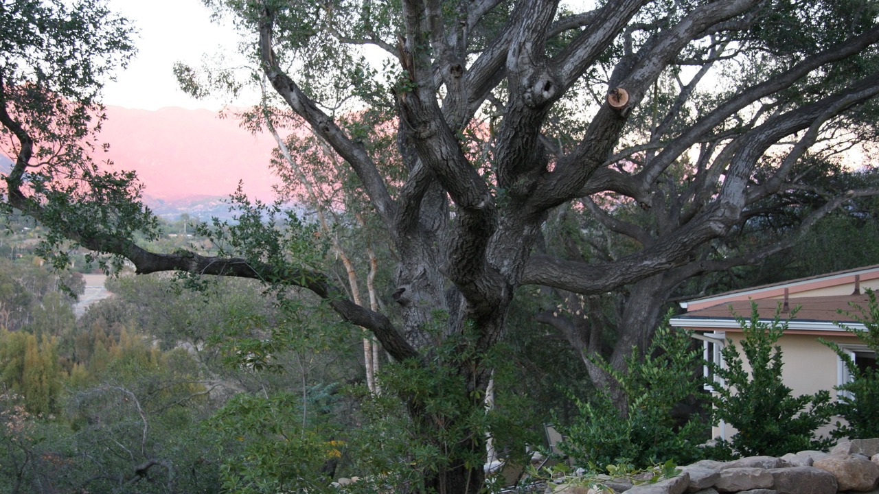 Photo of Outdoor in Ojai