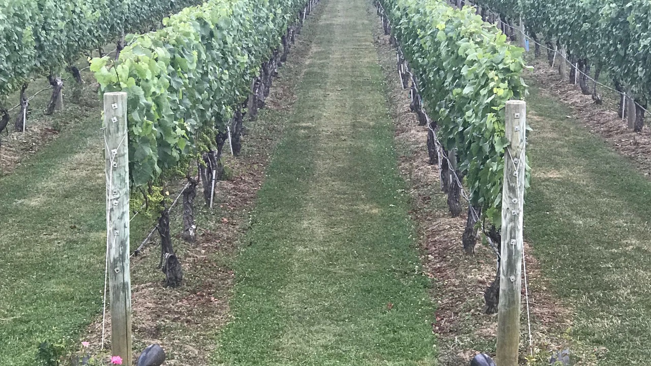 Photo of Outdoor in East Hampton