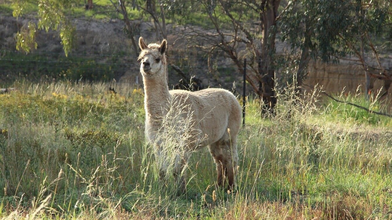 Photo of Outdoor in Tirrannaville