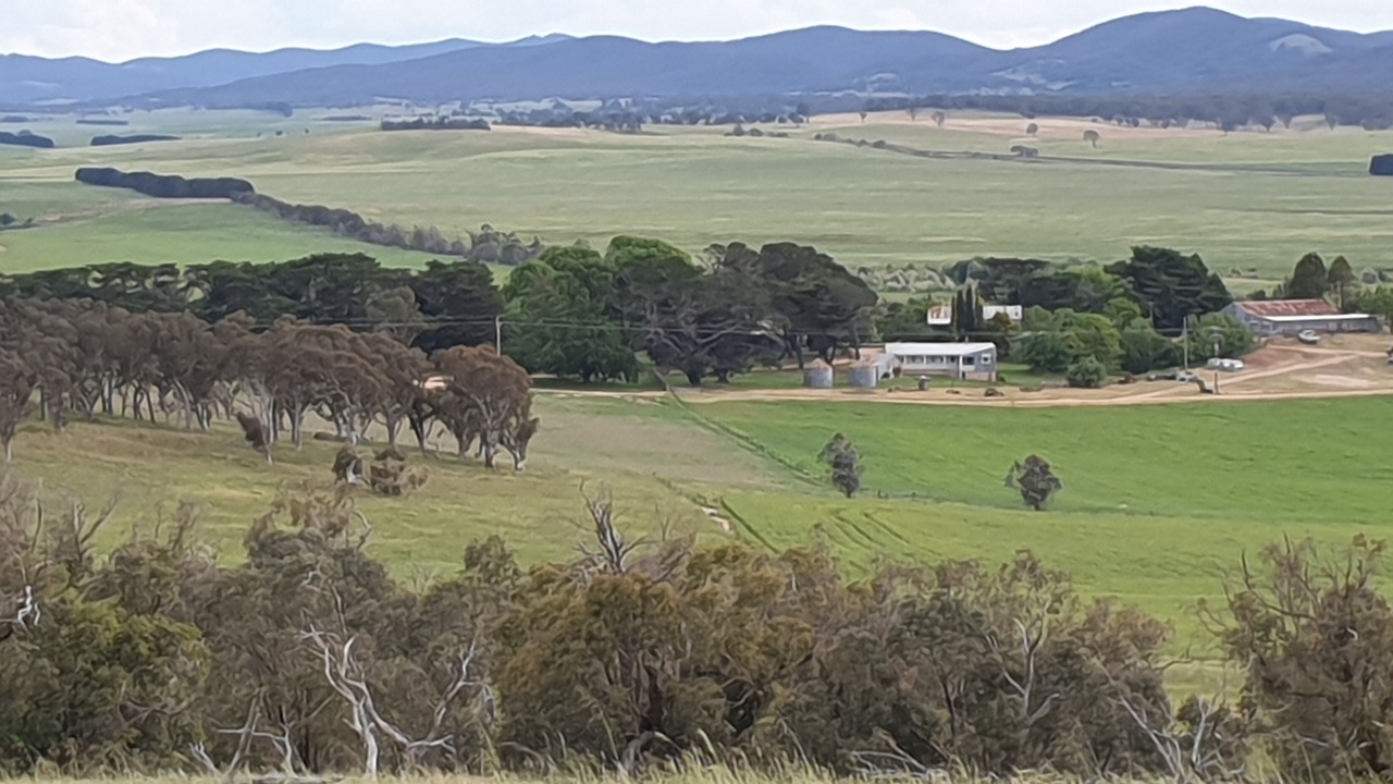 Photo of Others in Tirrannaville